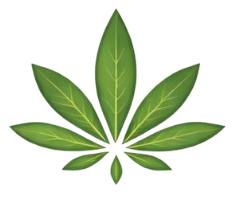 Logo Instituto Kayaflor